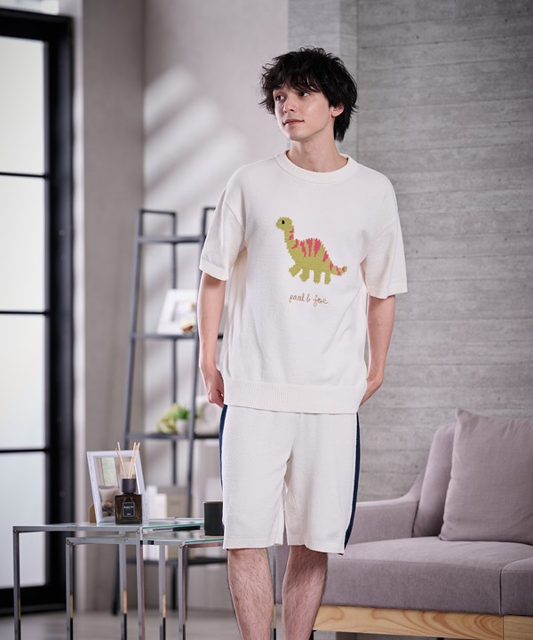 Dinosaur Wear